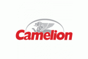 Инструкции к мелкой бытовой технике Camelion